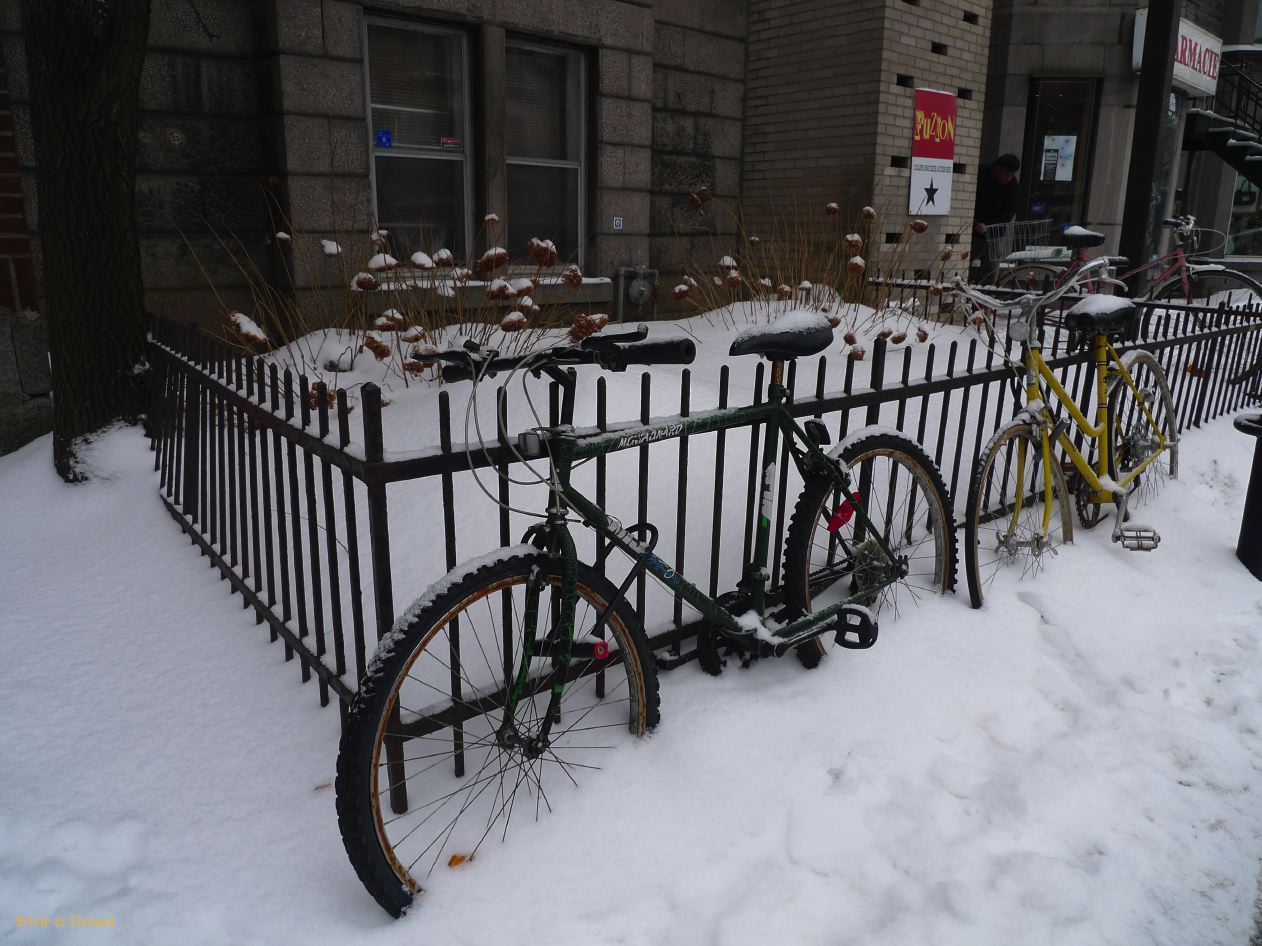 Montreal 068