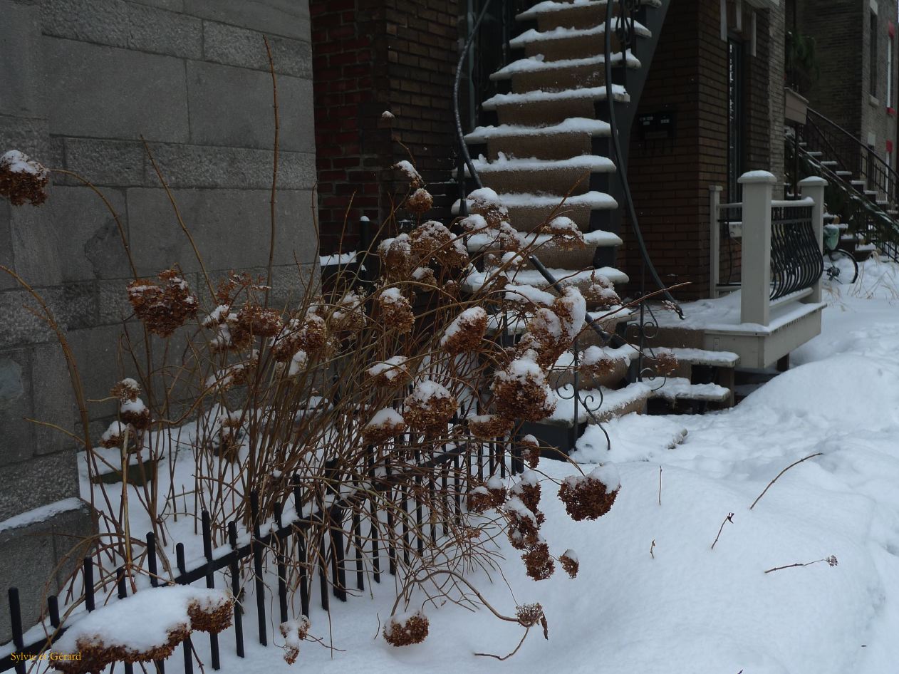 Montreal 070