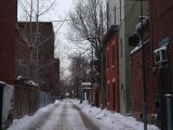 Montreal 048 Plateau Mont Royal