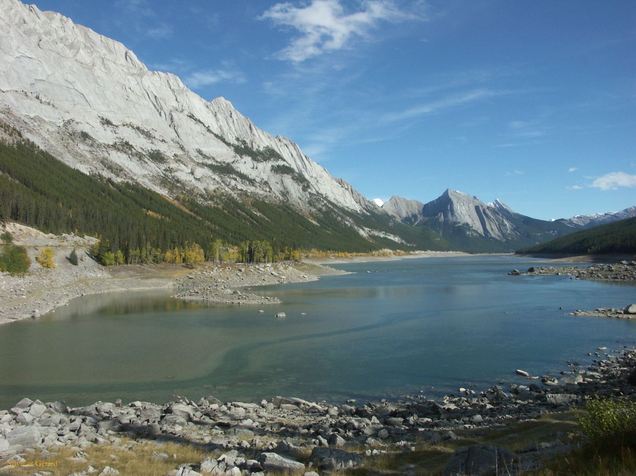 e jasper 44