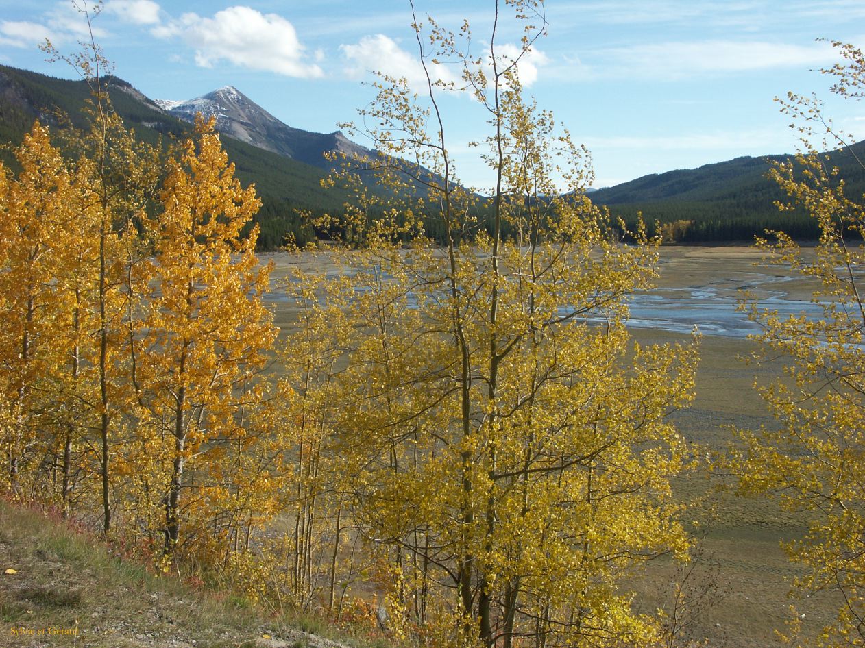 e jasper 47