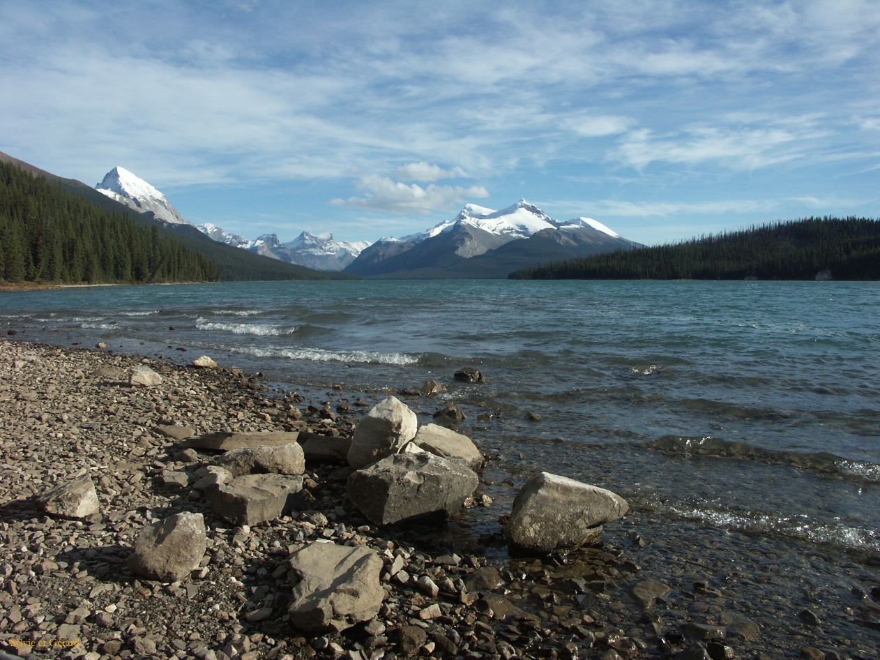 e jasper 52