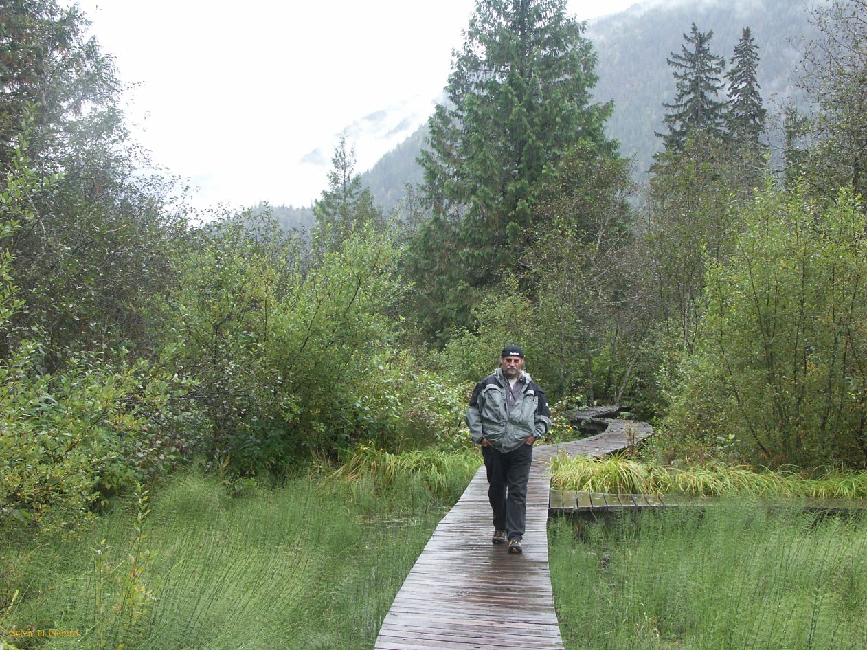 b Revelstoke 06