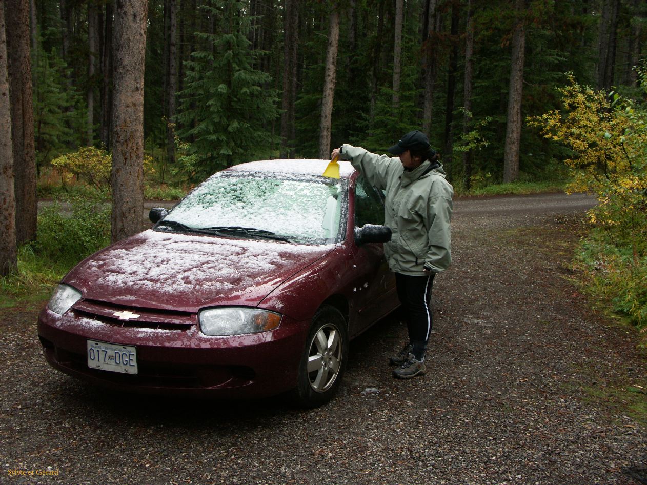 b Revelstoke 08