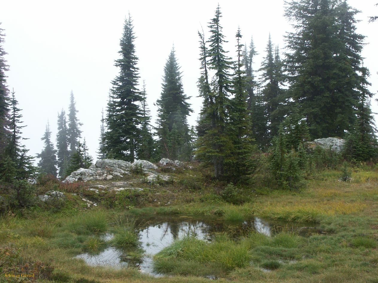 b Revelstoke 11