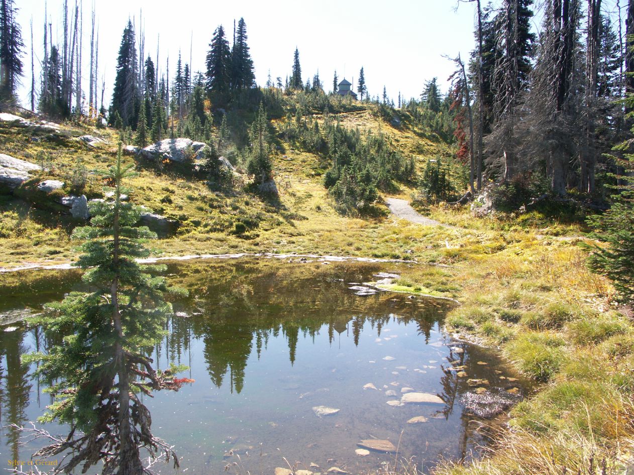 b Revelstoke 12