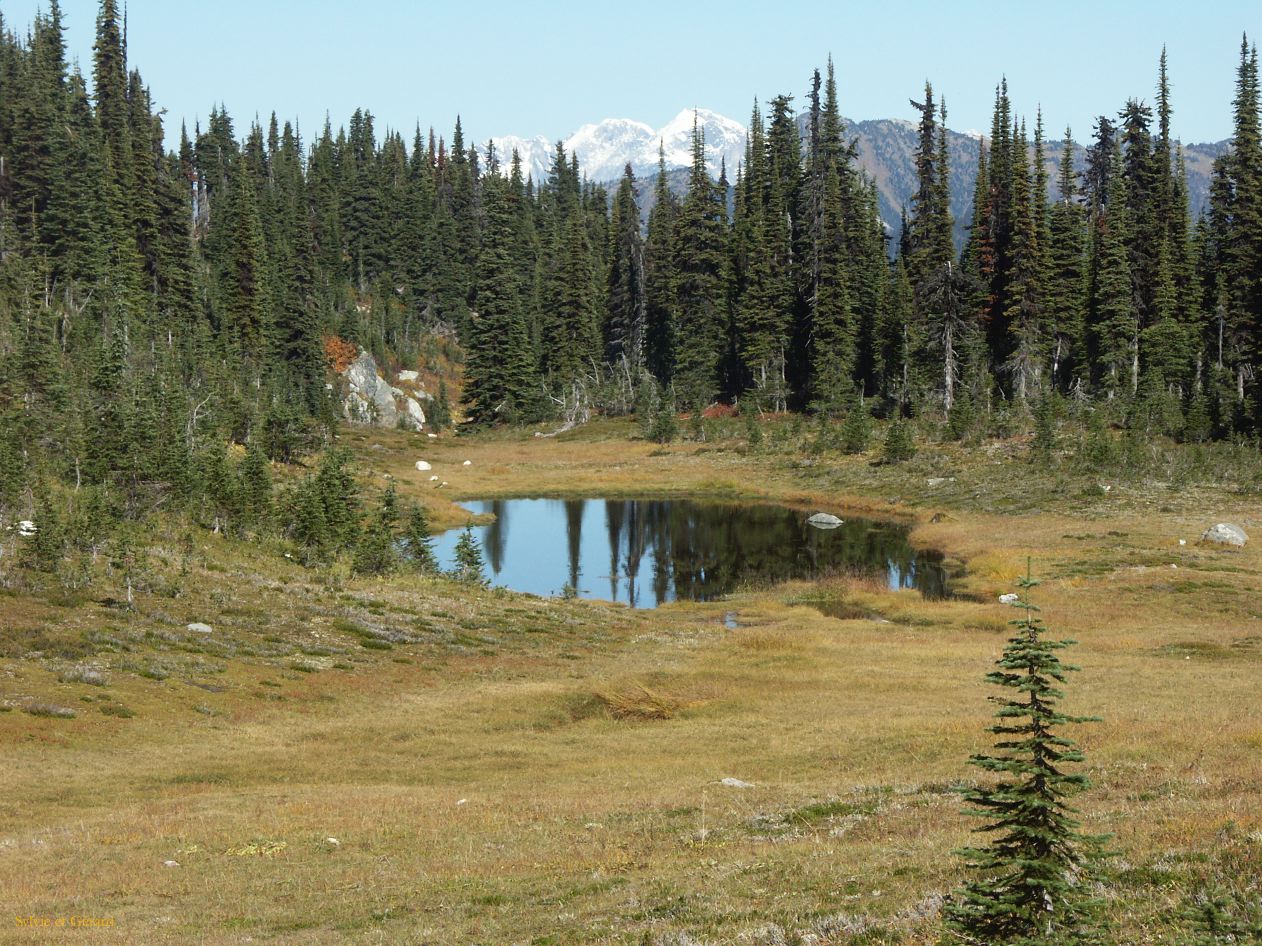 b Revelstoke 13