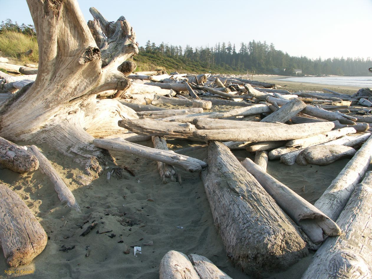 h ile de vancouver 30