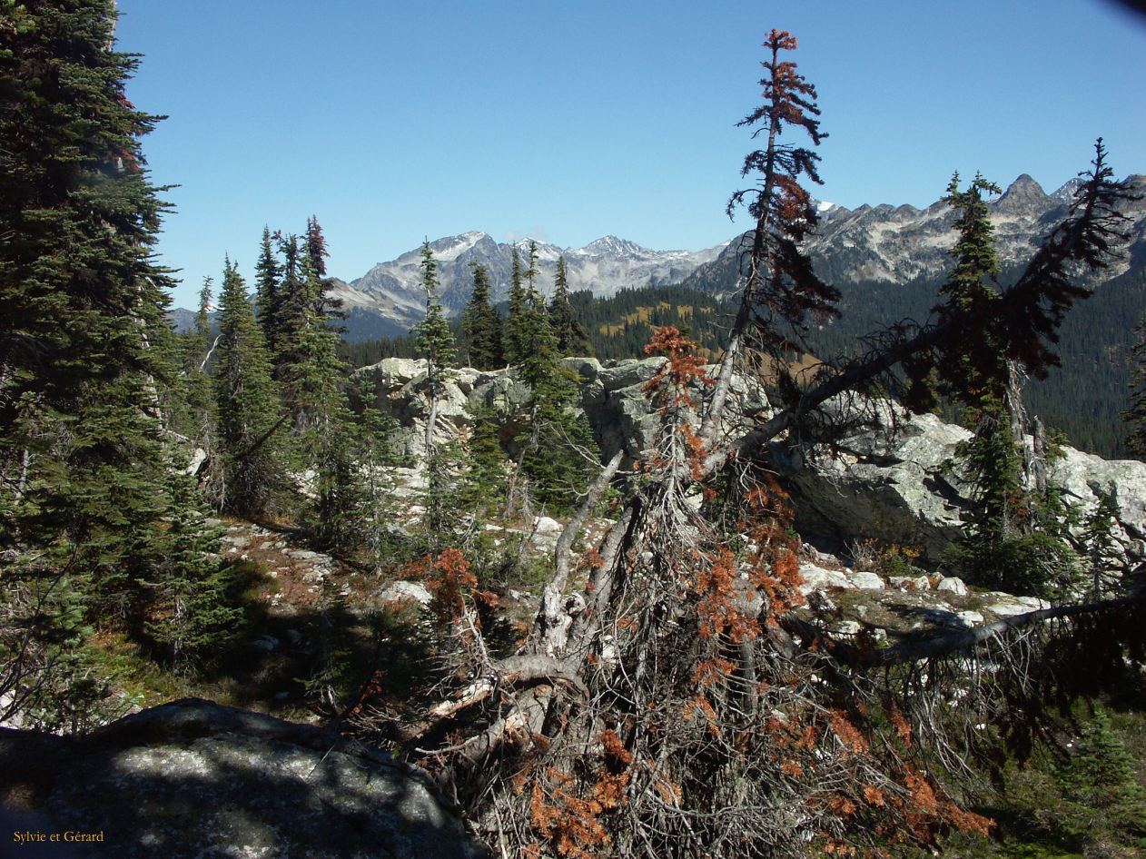 b Revelstoke 15