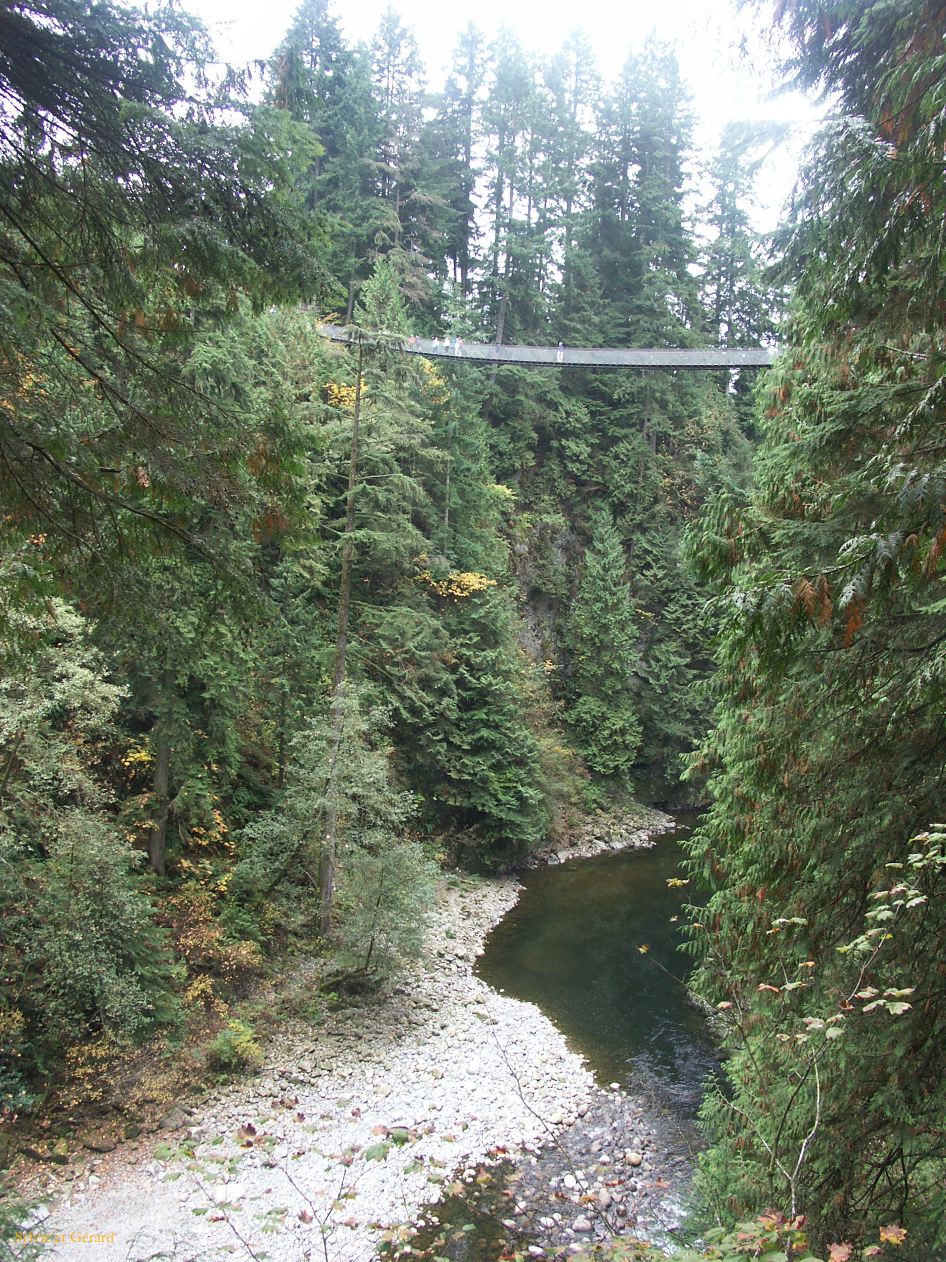 i vancouver 46