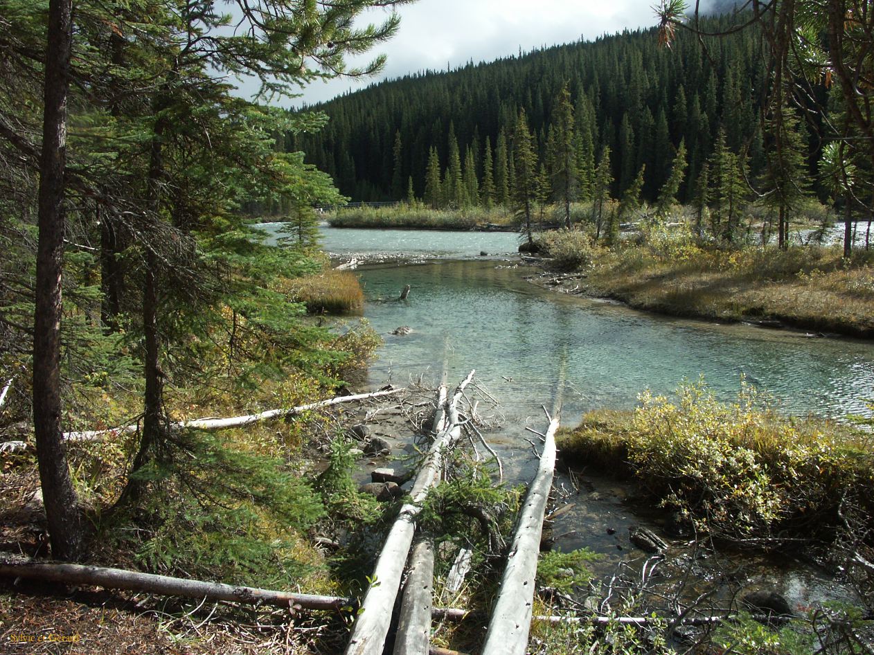 b Revelstoke 21