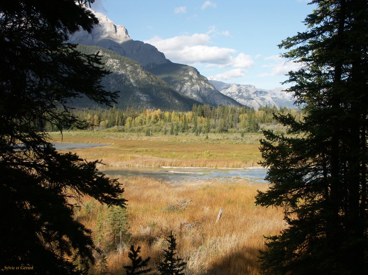 d banff 03