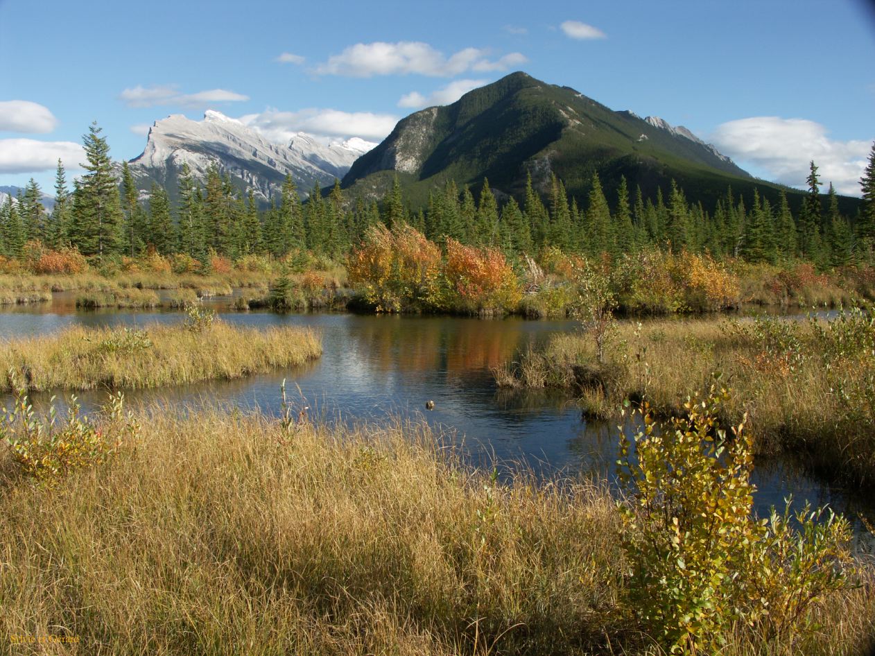d banff 07