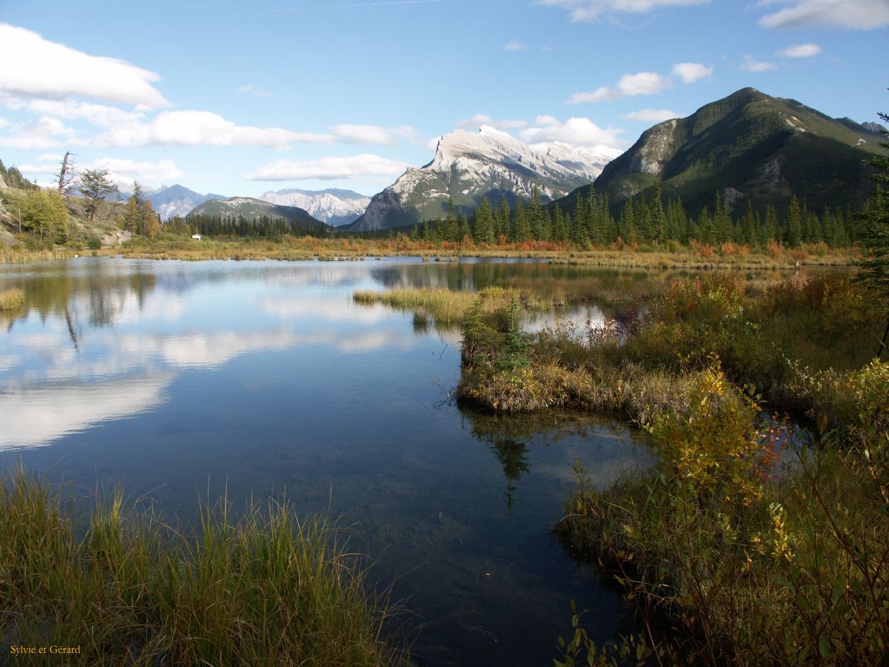 d banff 08