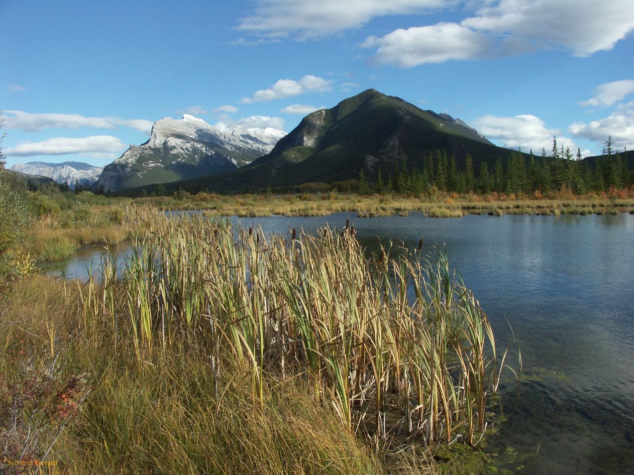 d banff 09