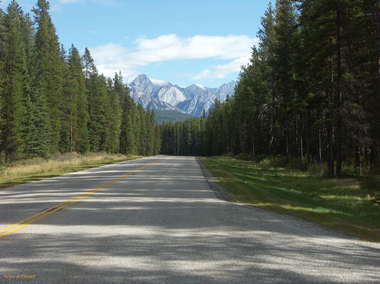 d banff 10