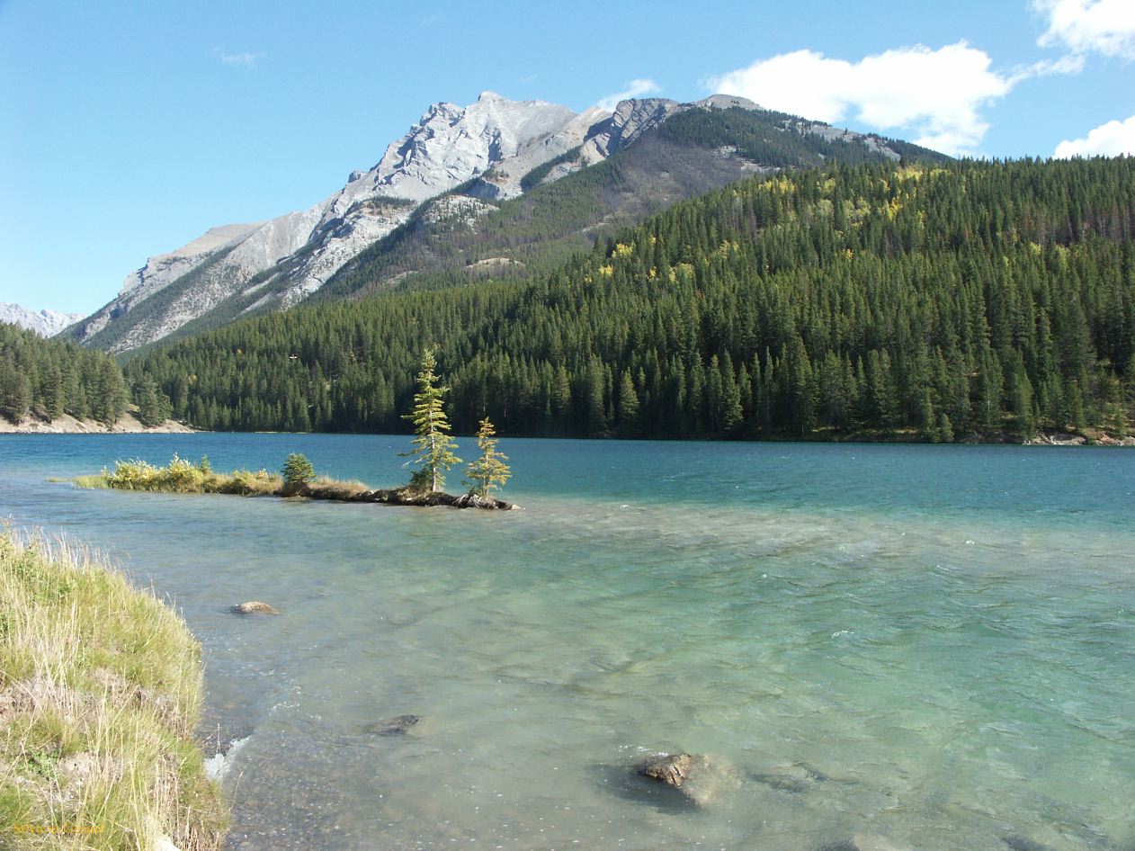 d banff 16