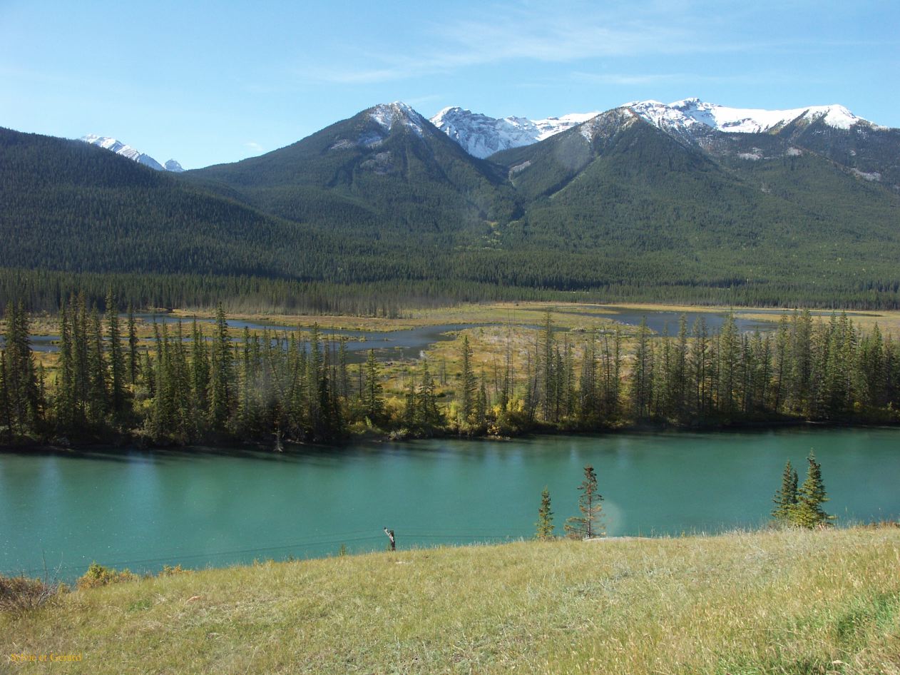 d banff 21