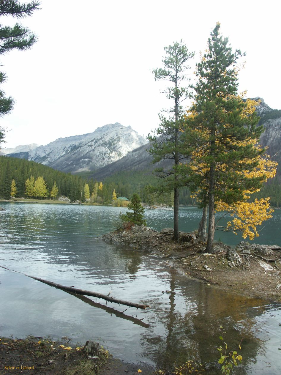 d banff 23