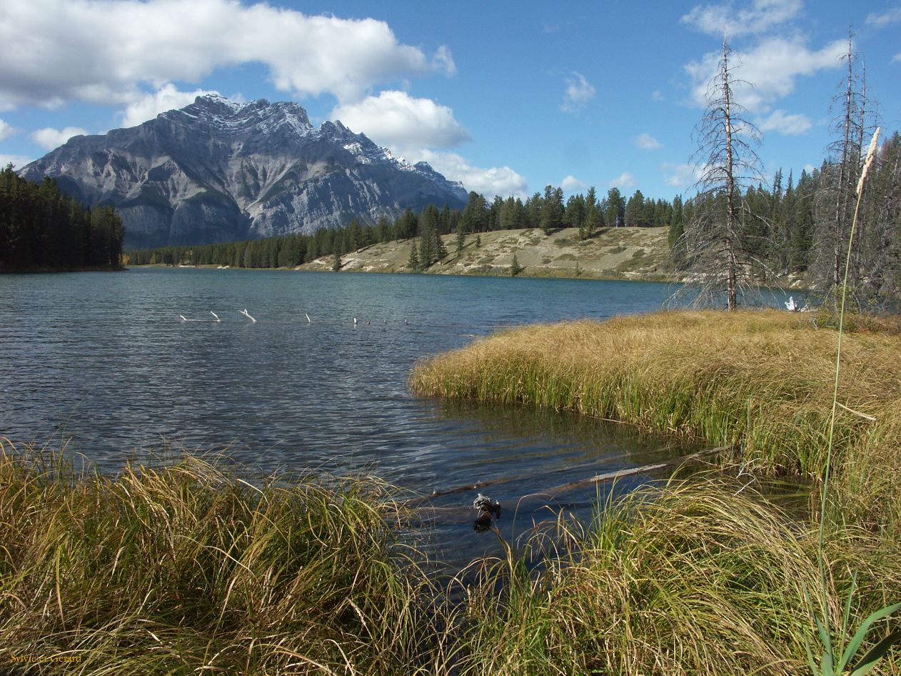 d banff 25a