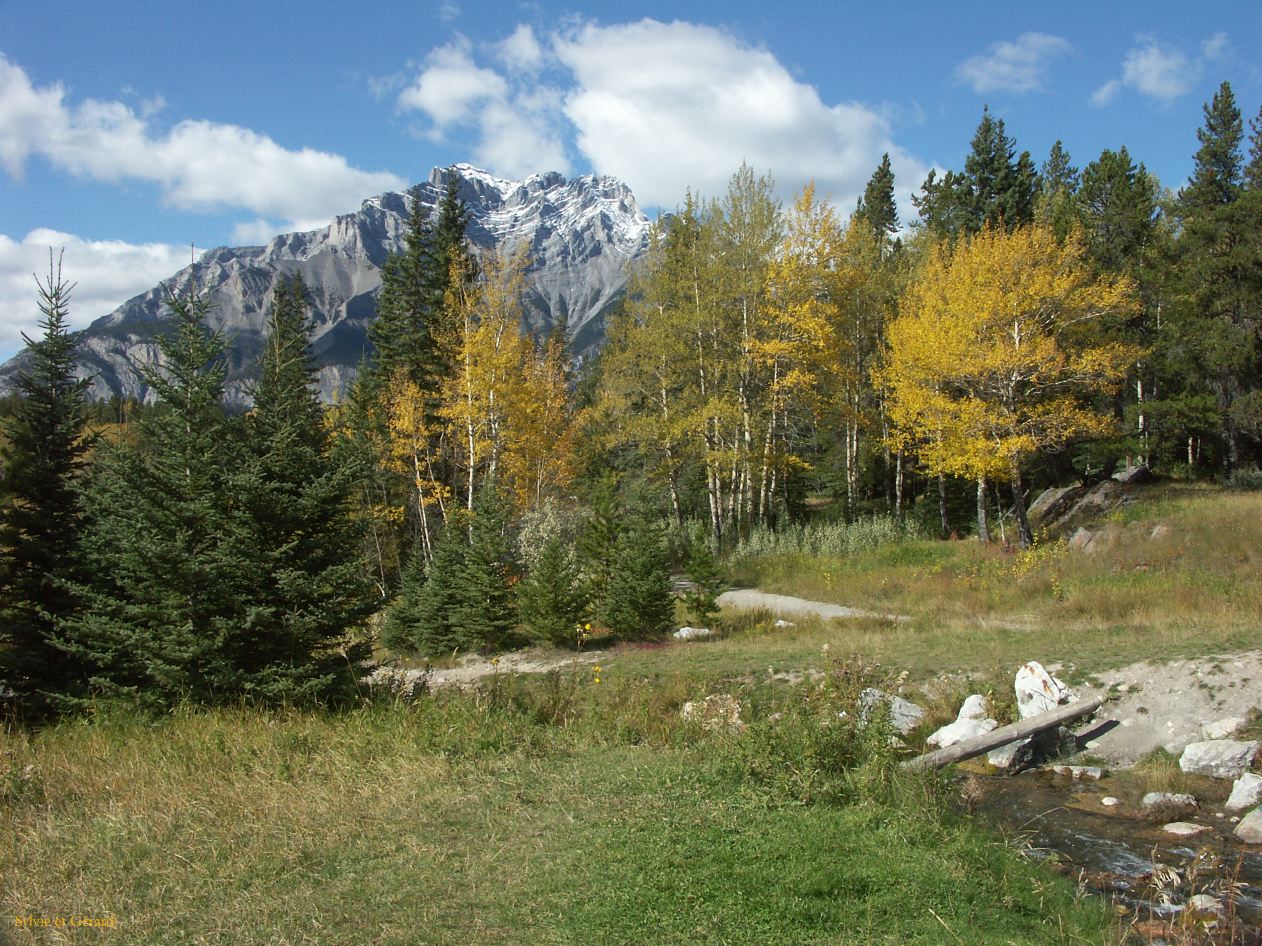 d banff 26