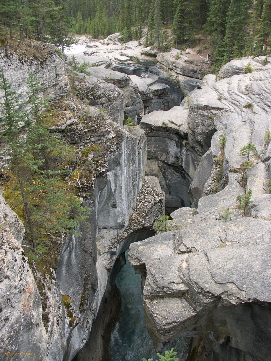 e jasper 09