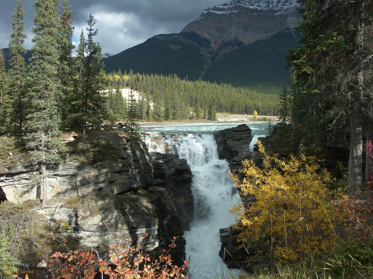 e jasper 12