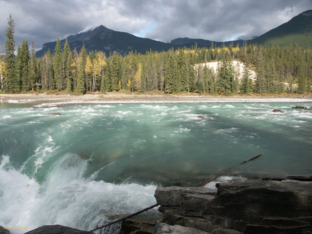 e jasper 14