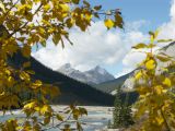 e jasper 54