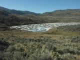 f rockies 03