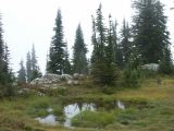 b Revelstoke 11