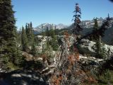 b Revelstoke 15