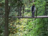 i vancouver 43