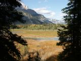 d banff 03