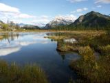 d banff 08