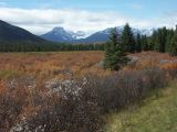 d banff 11