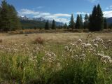d banff 12