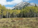 d banff 13