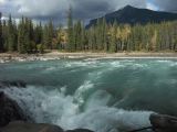 e jasper 13