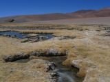 Chili Atacama San Pedro vers la frontière argentine 100