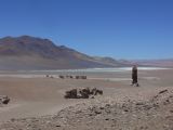 Chili Atacama San Pedro vers la frontière argentine Los Mois 108
