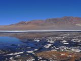 Chili Atacama San Pedro vers la frontière argentine Salar Aguas Calientes  110