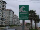 Chili La Serena  002