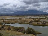 Chili Arica Parc Lauca  109