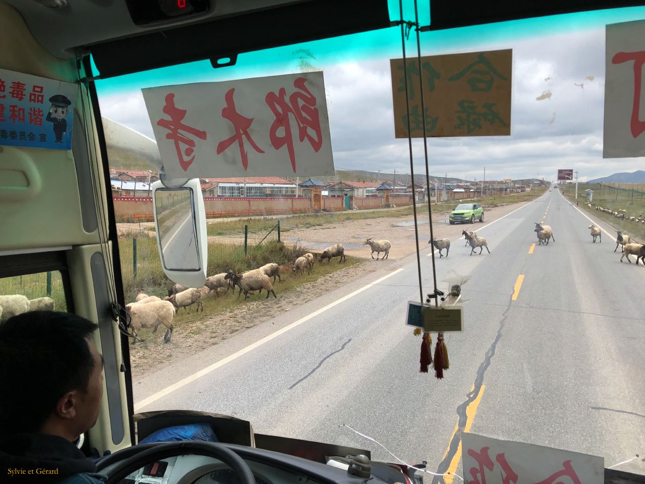 04 48 Langmusi la route dans les alentours à l'intérieur d'un bus