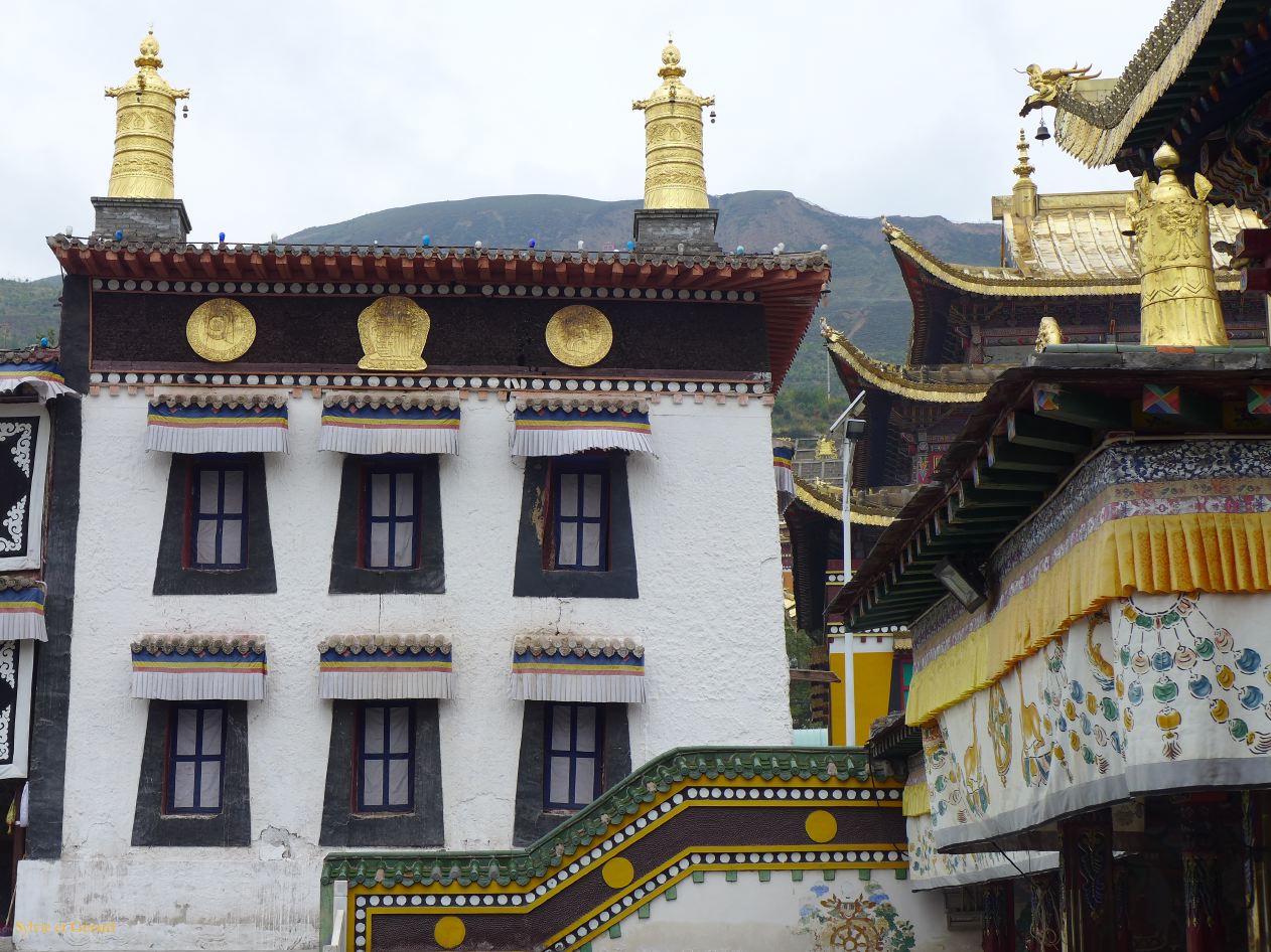 02 9 Tongren Monastère Longwu fondé en 1301 par Tsongkapa pour promouvoir la secte bouddhiste des bonnets jaunes de Gelugpa 