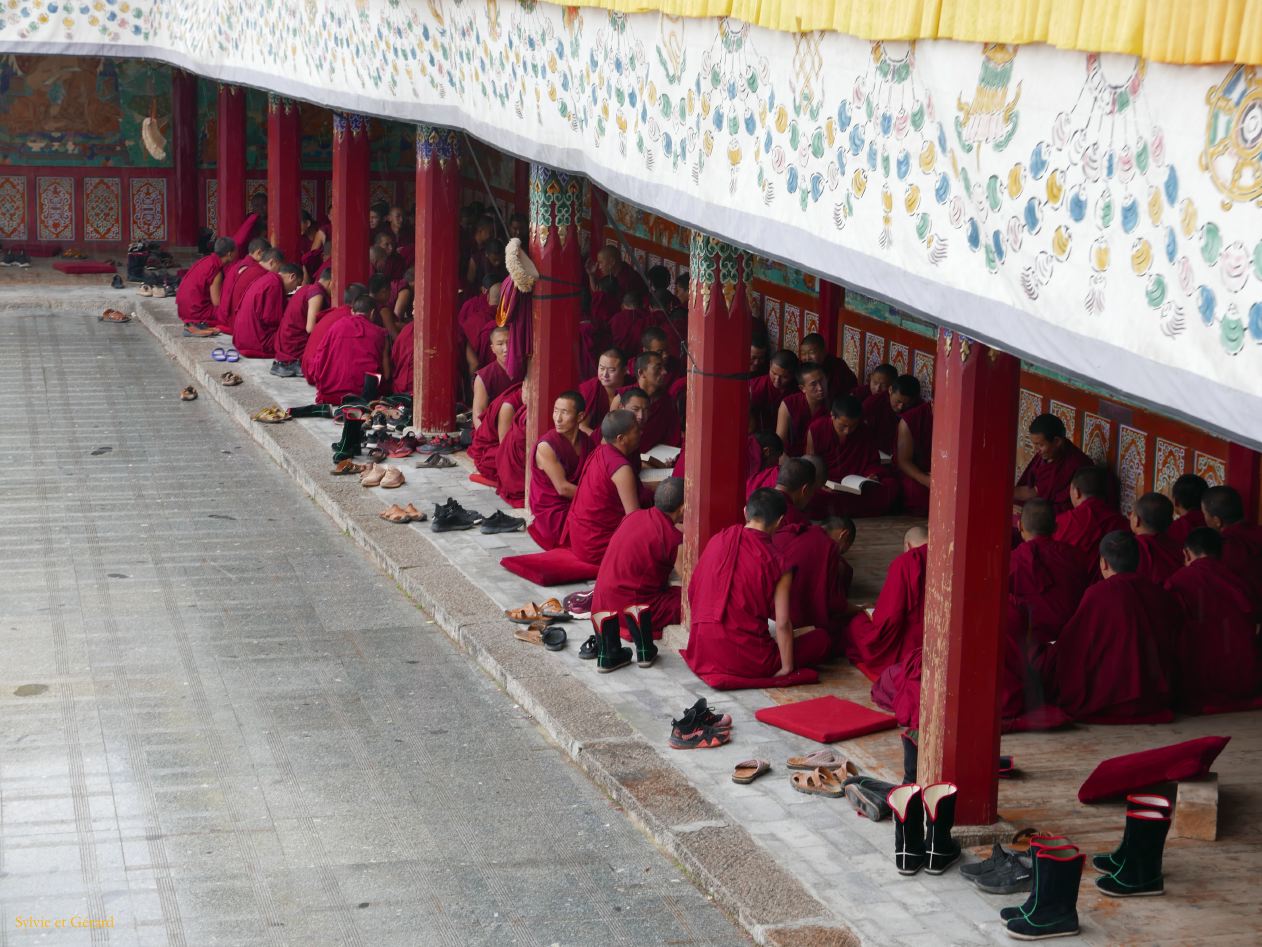 02 13 Tongren Monastère Longwu moines en étude 