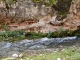 04 25 Langmusi Kerti Gompa la rivière du dragon blanc dans les anfractuosités des tsa-tsas en argile comme offrandes