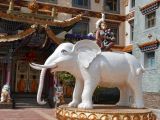 02 38 Tongren un éléphant, un singe, un lapin, un oiseau une jolie petite histoire racontée par Bouddha à ses disciples