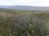 03 23 Xiahe les Prairies de Ganjia col Naren ka sous la pluie